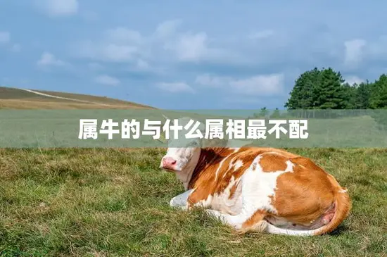 属牛的与什么属相最不配(最不合拍的属相是哪个)