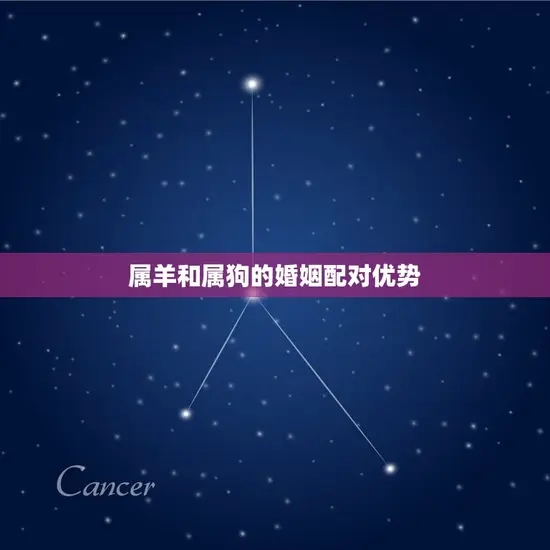 属羊与属狗的婚姻好吗(星座配对介绍)