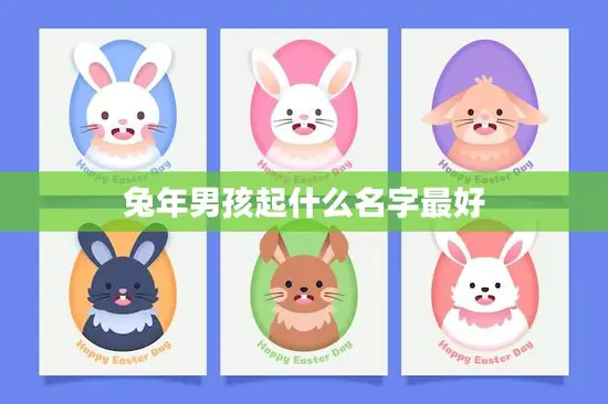 兔年男孩起什么名字最好(如何选择适合的兔年男孩名字)