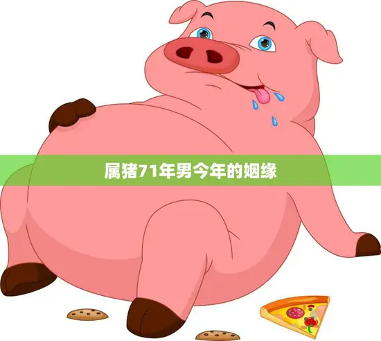 属猪71年男今年的姻缘(如何找到真爱)