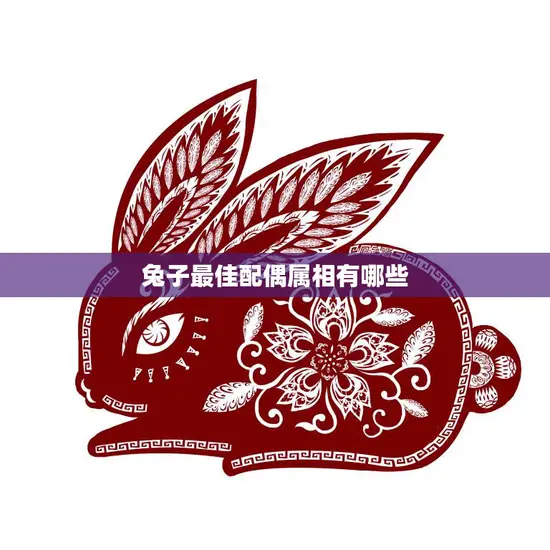 兔子最佳配偶属相有哪些(寻找最佳伴侣的秘诀)