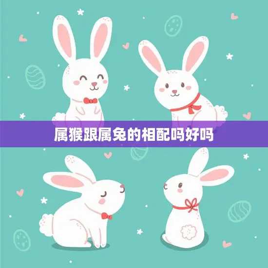 属猴跟属兔的相配吗好吗(解析属相配对)