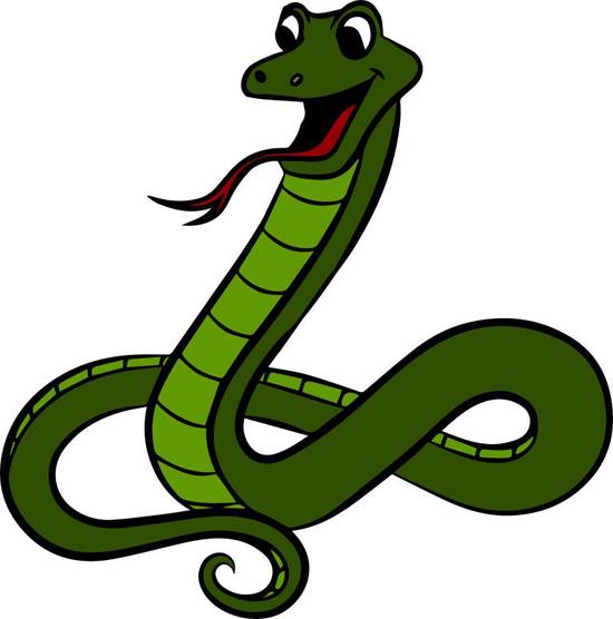 属蛇人未来十年运势预测(蛇行天下财运亨通)