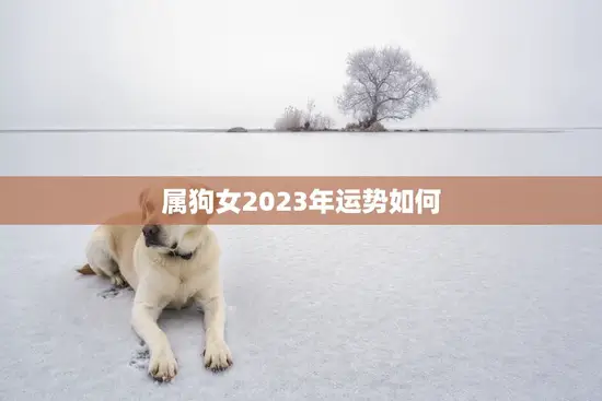 属狗女2023年运势如何(顺风顺水财运亨通)