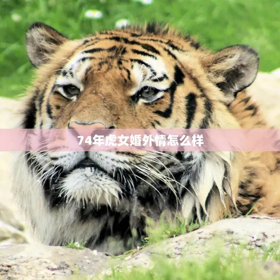 74年虎女婚外情怎么样(揭秘当年的风波如今何去何从)