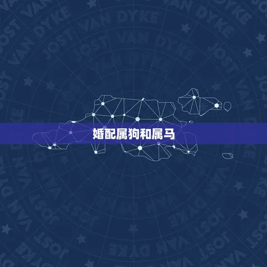 86年属虎的婚配(如何选择最适合的伴侣)