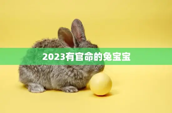 2023有官命的兔宝宝(迎来人生转折命运之路从此不同)