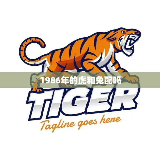 1986年的虎和兔配吗(八字合婚解析命运相合还是水火不容)