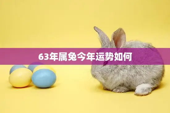 63年属兔今年运势如何(2023年属兔人财运旺盛但需注意健康问题)