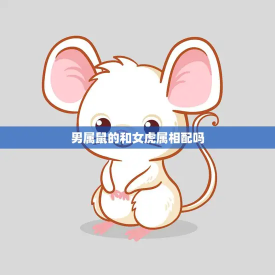 男属鼠的和女虎属相配吗(如何看待这种组合)
