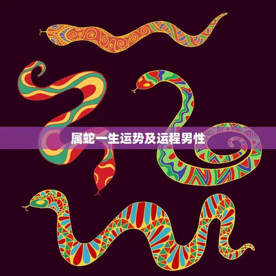 属蛇一生运势及运程男性(如何把握命运)