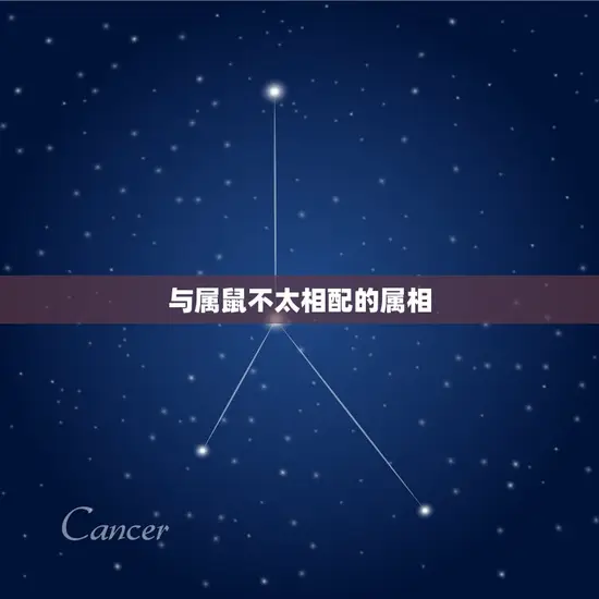 男属鼠属相婚配表(解密谁最适合与男属鼠搭配)