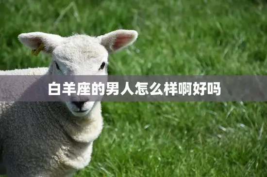 白羊座的男人怎么样啊好吗(探究白羊男的性格特点与优缺点)