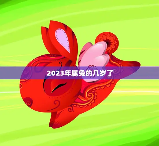 2023年属兔的几岁了(兔年生肖人的年龄计算方法)