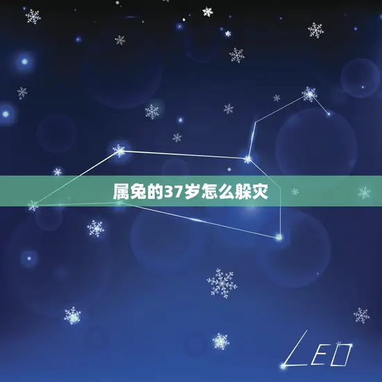 属兔的37岁怎么躲灾(如何化解灾难)