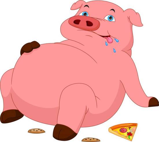 83年属猪2023运势(猪年大吉财运亨通)