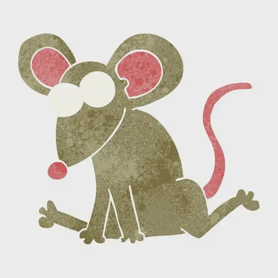 生肖鼠财运方向图