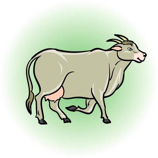 白羊座和天蝎座配对是多少(星座专家揭秘这两个星座的爱情缘分到底有多大)