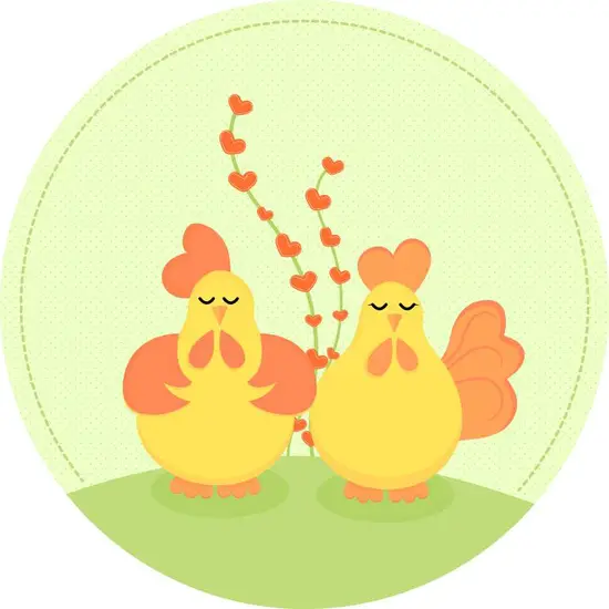 1981年属鸡劫难三次(属鸡人命运多舛三次劫难揭示命运真相)