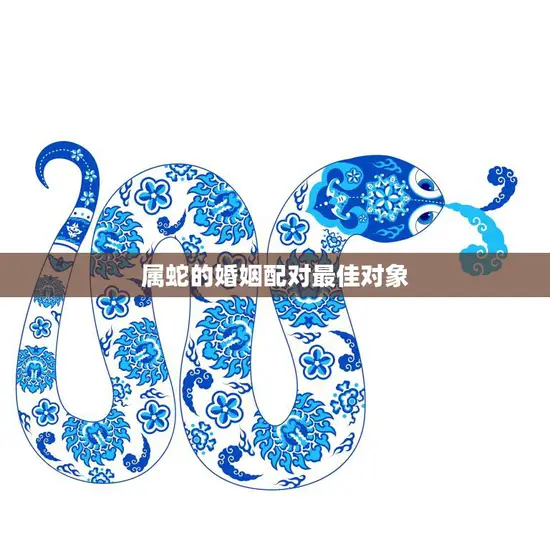 属蛇的婚姻配对最佳对象(如何选择)