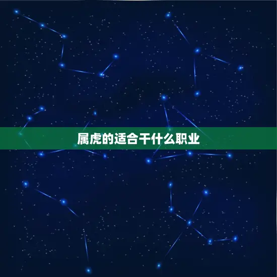 属虎的适合干什么职业(聪明机智的虎适合从事哪些职业)