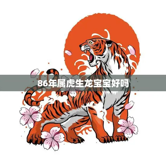 86年属虎生龙宝宝好吗(解析命格与性格特点)