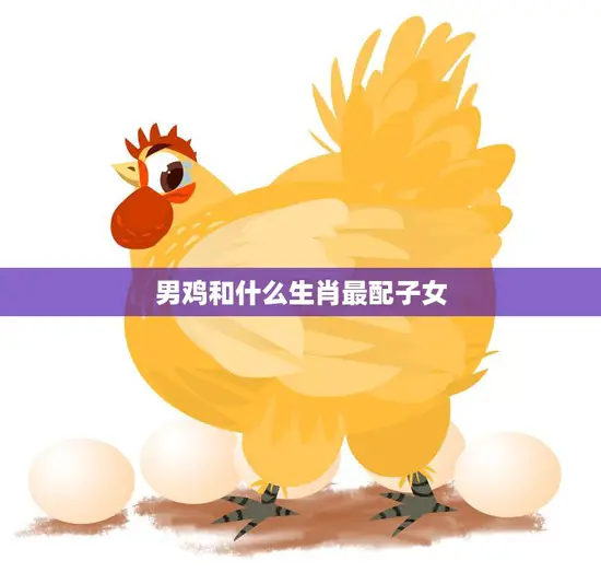 男鸡和什么生肖最配子女(完美匹配的星座组合)