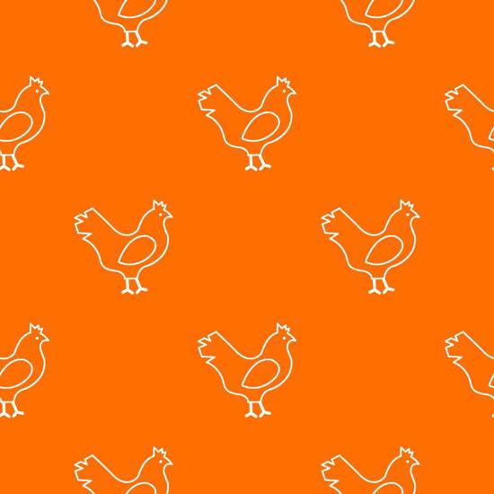 二0二三年属鸡的运势好吗(解析财运旺盛但需谨慎投资)