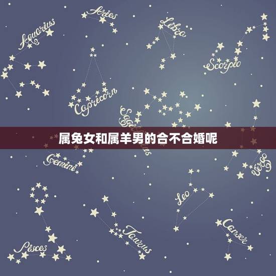 属兔女和属羊男的合不合婚呢(十二生肖配对介绍)