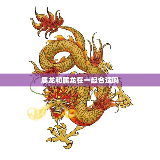 属龙和属龙在一起合适吗(探究同属龙的恋爱是否靠谱)