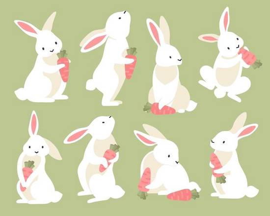 99年男兔婚配属相最好(如何选择最佳婚配属相)