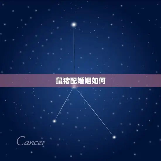鼠猪配婚姻如何(幸福的方法)