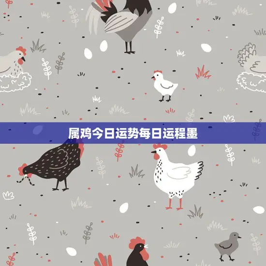 属鸡今日运势每日运程墨(运势如何)