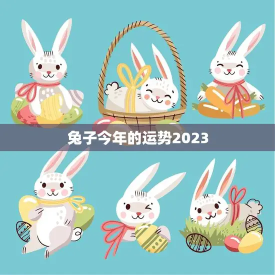 兔子今年的运势2023(好运连连财源滚滚)