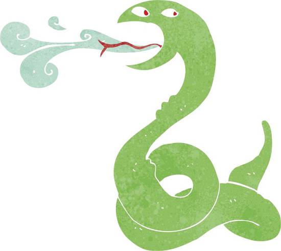 属蛇的射手座女今日运势(好运连连财源滚滚)