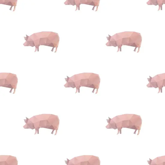 47年属猪的人今年多大(猪年大幸运猪宝宝们迎来人生转折点)