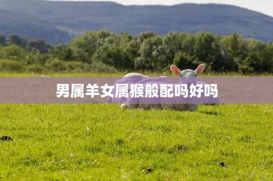 男属羊女属猴般配吗好吗(解析羊猴恋爱婚姻的优缺点)