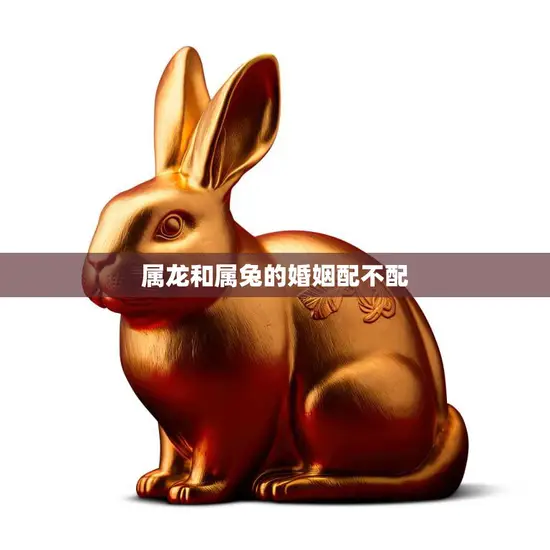 属龙和属兔的婚姻配不配(如何看待这对星座的姻缘)