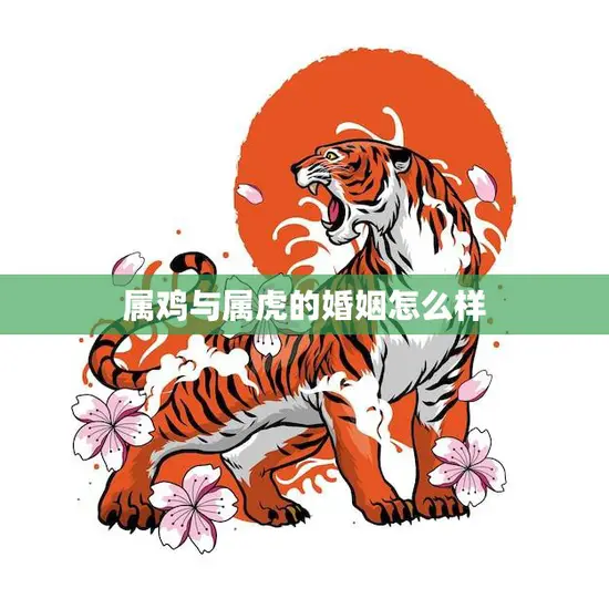 属鸡与属虎的婚姻怎么样(幸福还是磨合不易)