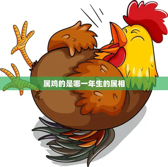 属鸡的是哪一年生的属相(解国十二生肖之鸡)