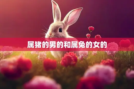 属猪的男的和属兔的女的(爱情匹配指南)