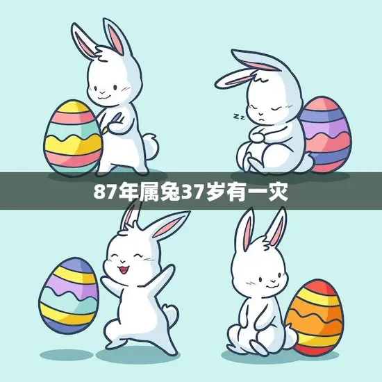 87年属兔37岁有一灾(如何化解)