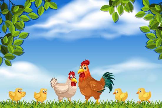 属鸡的年龄表1921年(探寻鸡年出生人的命运轨迹)