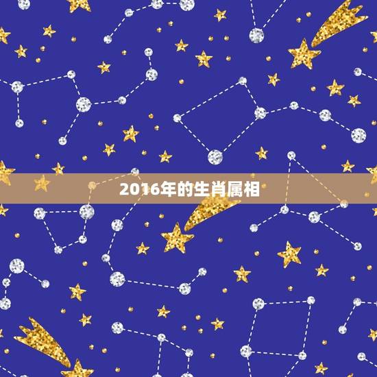 2016年是属猴的吗(介绍2016年生肖属相你知道吗)