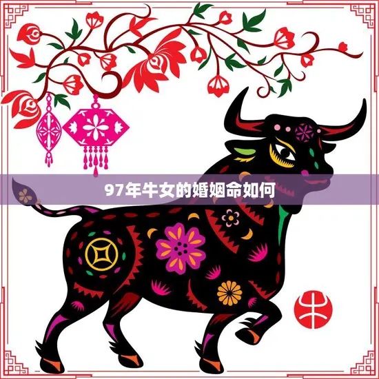 97年牛女的婚姻命如何(解析婚姻运势、配偶特点及应对策略)