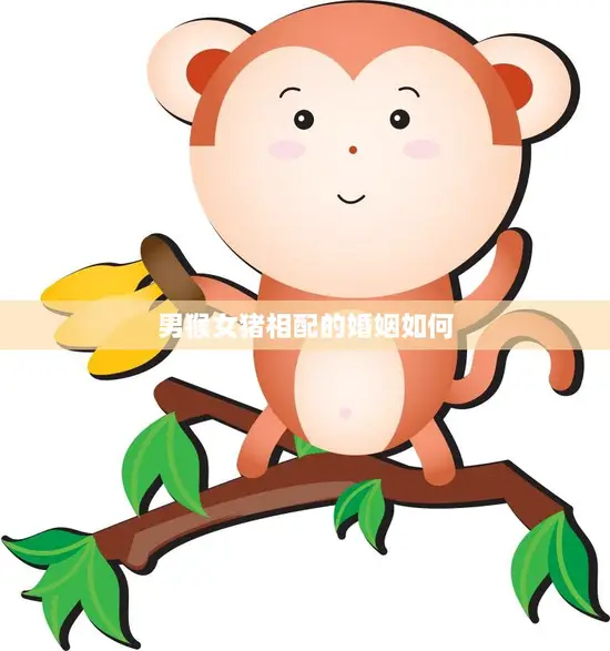 男猴女猪相配的婚姻如何(幸福的秘诀)