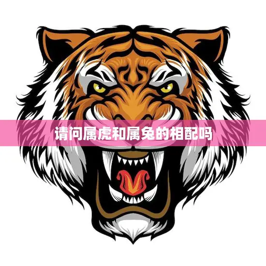 请问属虎和属兔的相配吗(解析属相配对看看这两个属相的缘分如何)
