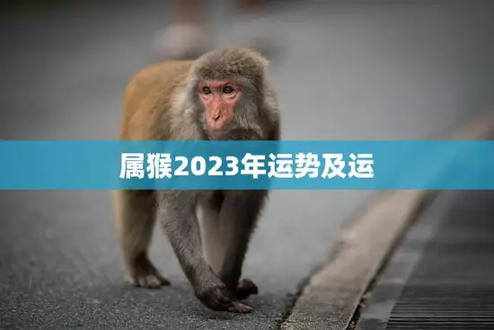 属猴2023年运势及运(猴儿飞升运势大好)