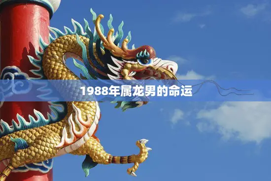 1988年属龙男的命运(如何在未来成功)