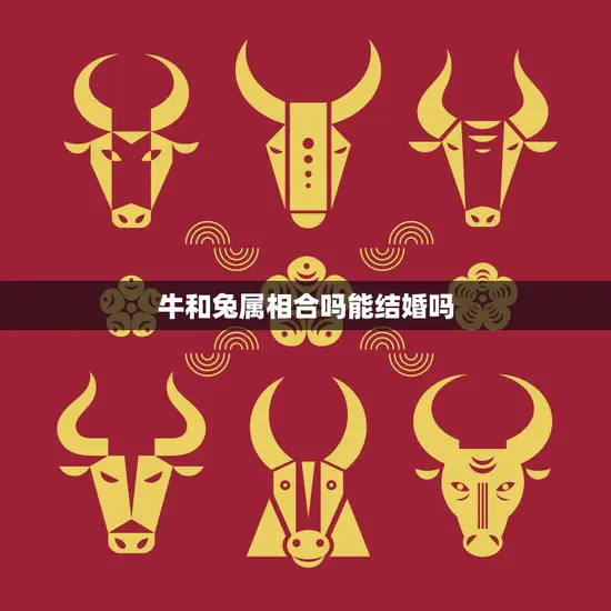 牛和兔属相合吗能结婚吗(解析婚姻配对的秘密)